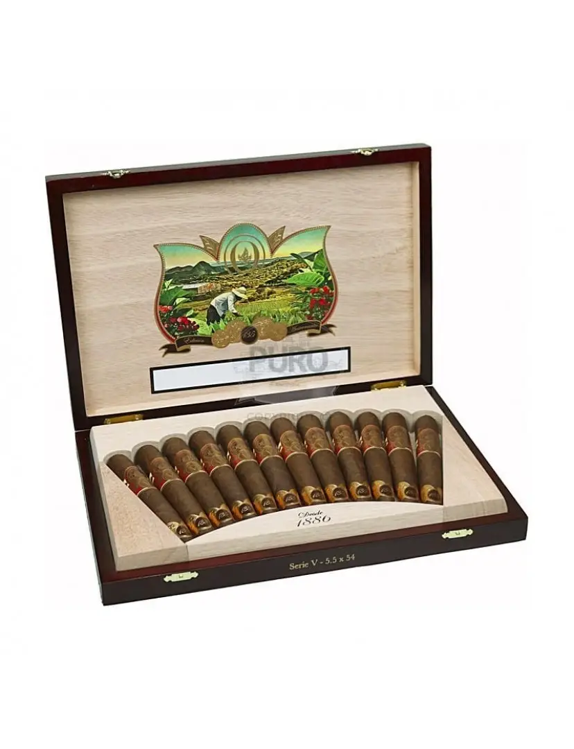 Oliva Serie V 135 th Aniversario Edicion Real (12)